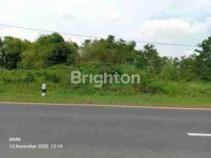 Tanah Murah DI TRISI Cikawung INDRAMAYU lokasi di Indramayu Kab., tersedia melalui melalui situs Olx