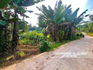 TANAH MURAH DIDESA CANDALI KEMANG BOGOR lokasi di Bogor Kab., tersedia melalui melalui situs Olx