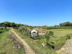 TANAH MURAH DIJUAL DI SOLO BARAT DEKAT PASAR SAMBI DAN RSUD SIMO lokasi di Boyolali Kab., tersedia melalui melalui situs Olx