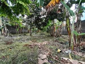 Tanah Murah Dijual solo di sumber Banjarsari Surakarta lokasi di Surakarta Kota, tersedia melalui melalui situs Olx