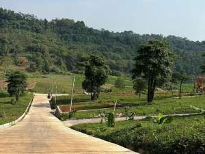 Tanah Murah Dkat Jakarta Depok Bekasi Cibinong Cileungsi Ada Eduwisata lokasi di Bogor Kota, tersedia melalui melalui situs Olx