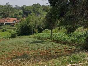 Tanah Murah Jatinangor lokasi di Sumedang Kab., tersedia melalui melalui situs Olx
