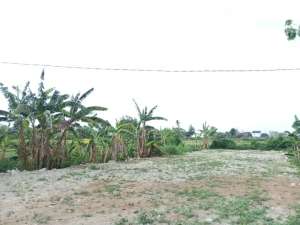 Tanah Murah jejeran Dekat Stadion Sultan agung tepi aspal lokasi di Bantul Kab., tersedia melalui melalui situs Olx