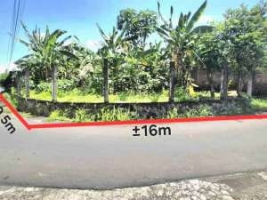 Tanah MURAH Kawasan Kampus UMS Gonilan Kartasura Sukoharjo lokasi di Surakarta Kota, tersedia melalui melalui situs Olx