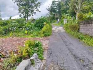 tanah murah luas 131 m2 dibarat pasar pakem jl Kaliurang km 16 lokasi di Sleman Kab., tersedia melalui melalui situs Olx