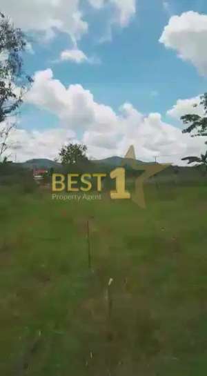 Tanah Murah Luas Cocok Untuk di Pontianak Kalimantan Barat lokasi di Pontianak Kota, tersedia melalui melalui situs Olx