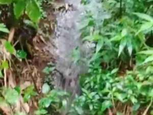 tanah murah megamendung lokasi di Bogor Kab., tersedia melalui melalui situs Olx