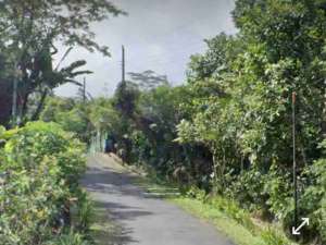 Tanah Murah Pekarangan Turi Sleman Yogyakarta lokasi di Sleman Kab., tersedia melalui melalui situs Olx