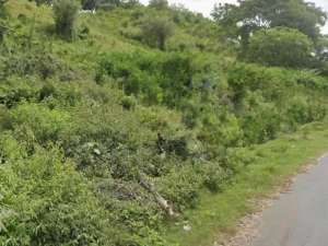 tanah murah pinggir jalan raya utama Selong belanak lombok lokasi di Lombok Tengah Kab., tersedia melalui melalui situs Olx