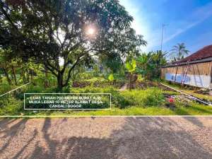 TANAH MURAH PINGGIR JALAN UTAMA DESA CANDALI KEMANG BOGOR lokasi di Bogor Kab., tersedia melalui melalui situs Olx