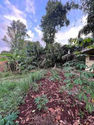 Tanah murah sekitar cikutra cigadung best price with view lokasi di Bandung Kota, tersedia melalui melalui situs Olx