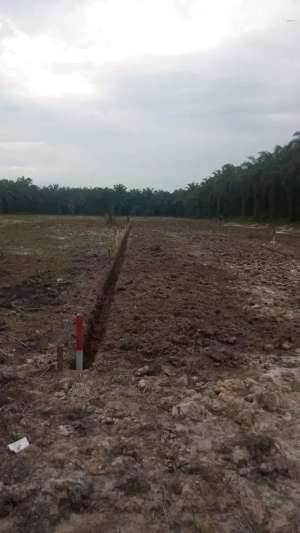 Tanah murah SHM bisa di Cicil 1th lokasi di Kampar Kab., tersedia melalui melalui situs Olx