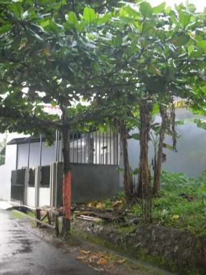 Tanah Murah SHM Kav UI, Tanah Baru - Siap Bangun lokasi di Depok Kota, tersedia melalui melalui situs Olx