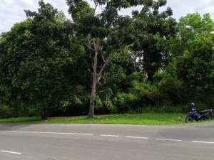 Tanah Murah Siap Bangun Luas 1,3 Ha di Pangkalpinang Bangka Belitung lokasi di Pangkal Pinang Kota, tersedia melalui melalui situs Olx