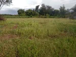 TANAH MURAH TANAH DATAR LOKASI STRATEGIS DEKAT JALAN RAYA UTAMA CIBEUTEUNG CISEENG lokasi di Bogor Kab., tersedia melalui melalui situs Olx