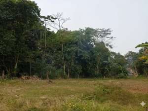 Tanah Murah Tangerang Dekat BSD,Cocok Untuk Investasi lokasi di Tangerang Kab., tersedia melalui melalui situs Olx