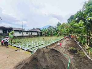 Tanah murah Tawangmangu karanganyar lokasi di Karanganyar Kab., tersedia melalui melalui situs Olx