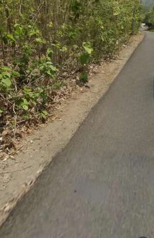 Tanah Murah Tepi Jalan Cocok Untuk Perum Atau Gudang Area Pajangan lokasi di Bantul Kab., tersedia melalui melalui situs Olx