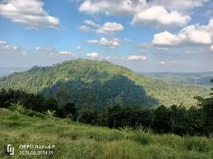Tanah murah view jos lokasi di Salatiga Kota, tersedia melalui melalui situs Olx