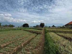 TANAH MURAH VIEW KOTA BATU lokasi di Batu Kota, tersedia melalui melalui situs Olx