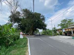 Tanah Ngemplak Sleman Siap AJB dan Balik Nama Mulai 2 jutaanm lokasi di Sleman Kab., tersedia melalui melalui situs Olx