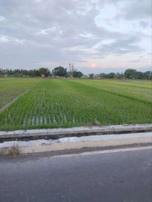 Tanah nol jalan mojokerto dekat pabrik gudang pinggir jalan dekat toll lokasi di Mojokerto Kota, tersedia melalui melalui situs Olx