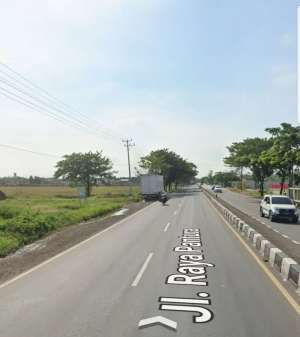 Tanah padat diLosarang indramayu lokasi di Indramayu Kab., tersedia melalui melalui situs Olx