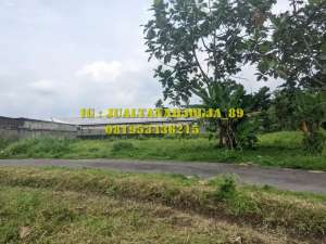 Tanah palagan dijual murah akses papasan, SHM P aman lokasi di Yogyakarta Kota, tersedia melalui melalui situs Olx