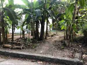 tanah pekarangan dekat rsud prambanan lokasi di Sleman Kab., tersedia melalui melalui situs Olx