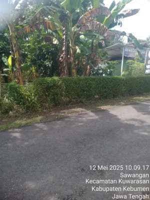 Tanah Pekarangan Strategisdi Daerah Pemukiman lokasi di Kebumen Kab., tersedia melalui melalui situs Olx