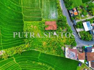 TANAH PERERENAN TUMBAK BAYUH JALAN UTAMA lokasi di Kab. Badung, tersedia melalui melalui situs Olx