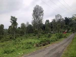 TANAH PERKEBUNAN LUAS DI KOTA BATANG lokasi di Batang Kab., tersedia melalui melalui situs Olx