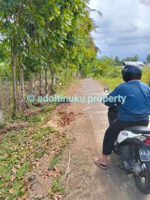 Tanah persegi dengan lebar muka 60 m di mertoyudan magelang lokasi di Magelang Kab., tersedia melalui melalui situs Olx