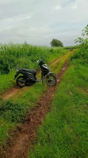 Tanah pertanian lokasi di Kudus Kab., tersedia melalui melalui situs Olx