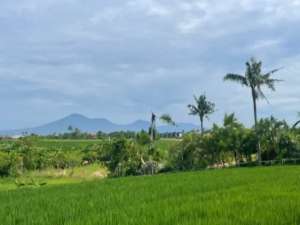 TANAH PESISIR PREMIUMNYANYI, BALI lokasi di Kab. Badung, tersedia melalui melalui situs Olx