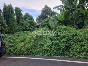 TANAH PIDADA UBUNG DENPASAR, BALI lokasi di Denpasar Kota, tersedia melalui melalui situs Olx
