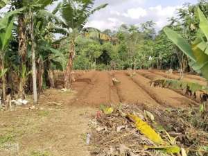 TANAH PINGGIR JALAN 3 KM KE GERBANG TOL DARANGDAN PURWAKARTA lokasi di Purwakarta Kab., tersedia melalui melalui situs Olx