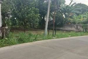 Tanah Pinggir Jalan 927 m SHM di Desa Babakan Ciseeng Bogor lokasi di Bogor Kab., tersedia melalui melalui situs Olx