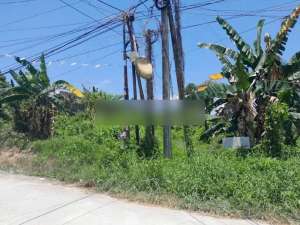 TANAH PINGGIR JALAN COR PERUMAHAN LOKASI BATU AMPAR PERUMAHAN SOSIAL lokasi di Balikpapan Kota, tersedia melalui melalui situs Olx