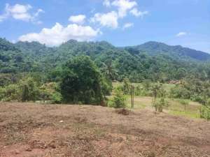 Tanah Pinggir Jalan Kabupaten Rumpin Bogor 3000 m SHM Harga 350rbm lokasi di Bogor Kab., tersedia melalui melalui situs Olx