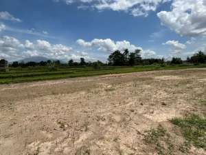 Tanah Pinggir Jalan Raya Area Palagan Jogja lokasi di Yogyakarta Kota, tersedia melalui melalui situs Olx