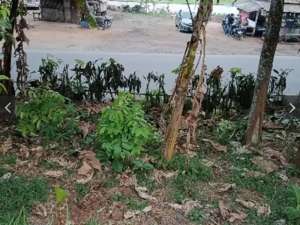 Tanah pinggir jalan siap bangun SHM. pajak UMR murah lokasi di Cianjur Kab., tersedia melalui melalui situs Olx