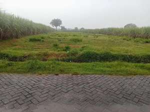 tanah Pinggir jalan siap bangun lokasi di Jombang  Kab., tersedia melalui melalui situs Olx