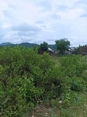 Tanah pinggir jalan strategis di Sekotong lokasi di Lombok Barat Kab., tersedia melalui melalui situs Olx