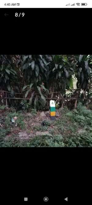 Tanah pinggir jln harga belum naik emas 3jtgramdollar 16rb. pajakUMR murah lokasi di Cianjur Kab., tersedia melalui melalui situs Olx