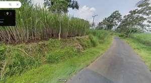 Tanah Poros Kenongo Jabung Malang Dijual murah cpt B.U Poll L 2.911 m2 lokasi di Malang Kab., tersedia melalui melalui situs Olx