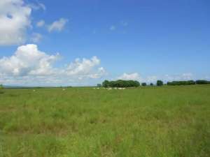 Tanah Premium 10.000 m2 Pantai Sumba-Investasi Emas Terbaik lokasi di Sumba Tengah Kab., tersedia melalui melalui situs Olx