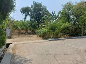 tanah puri mojokerto lokasi di Puri, tersedia melalui melalui situs Olx