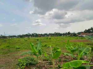 TANAH RATA LUAS JALAN RAYA BANTERAN DEKAT KOTA PURWOKERTO lokasi di Banyumas Kab., tersedia melalui melalui situs Olx