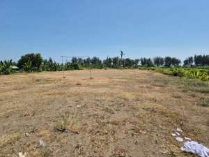 TANAH RAYA DEMANGHARJO WARUREJO TEGAL WR438 lokasi di Tegal Kab., tersedia melalui melalui situs Olx